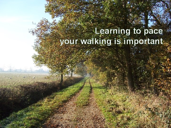 Learning to pace your walking is important 35 
