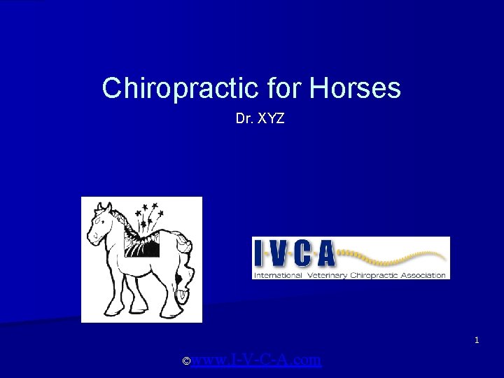 Chiropractic for Horses Dr. XYZ 1 ©www. I-V-C-A. com 