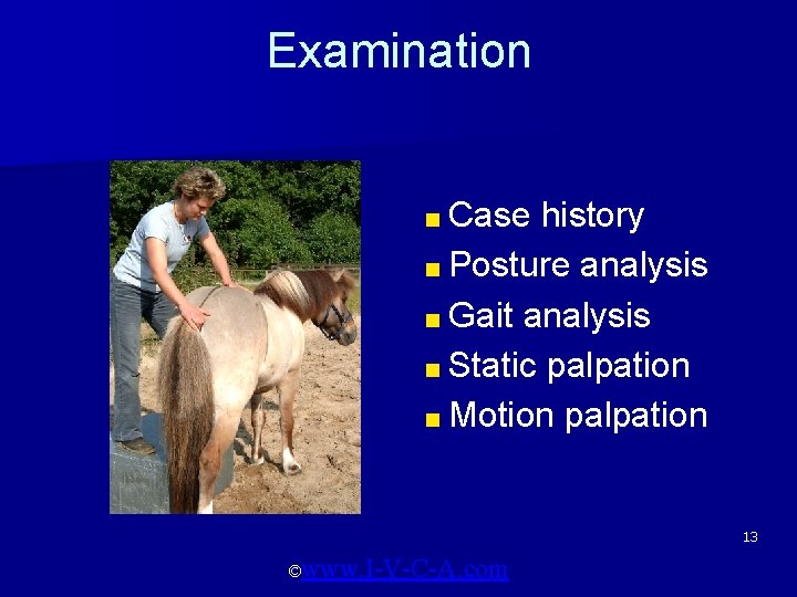 Examination ■ Case history ■ Posture analysis ■ Gait analysis ■ Static palpation ■