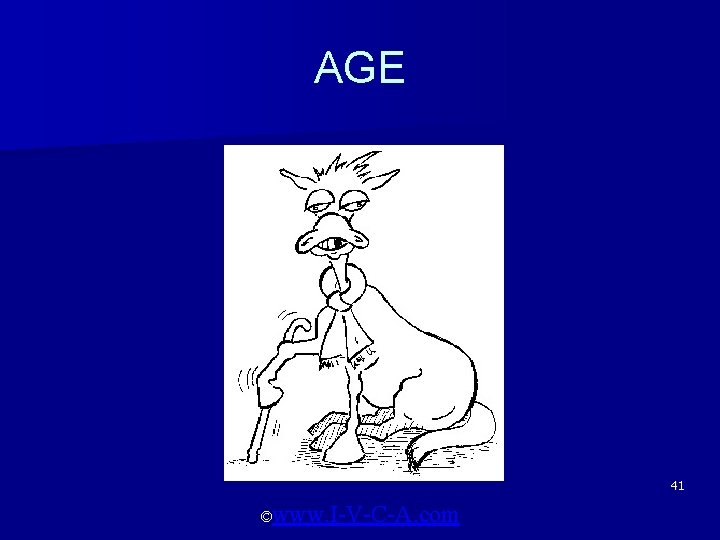 AGE 41 ©www. I-V-C-A. com 