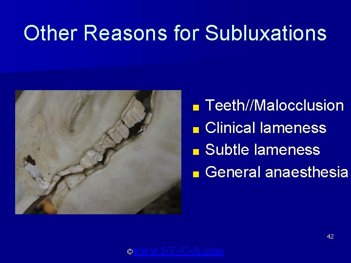 Other Reasons for Subluxations Teeth//Malocclusion ■ Clinical lameness ■ Subtle lameness ■ General anaesthesia