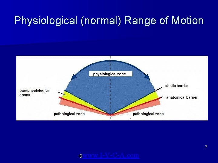 Physiological (normal) Range of Motion 7 ©www. I-V-C-A. com 