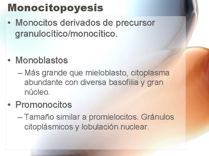 Monocitopoyesis • Monocitos derivados de precursor granulocítico/monocítico. • Monoblastos – Más grande que mieloblasto, Monocitopoyesis • Monocitos derivados de precursor granulocítico/monocítico. • Monoblastos – Más grande que mieloblasto,