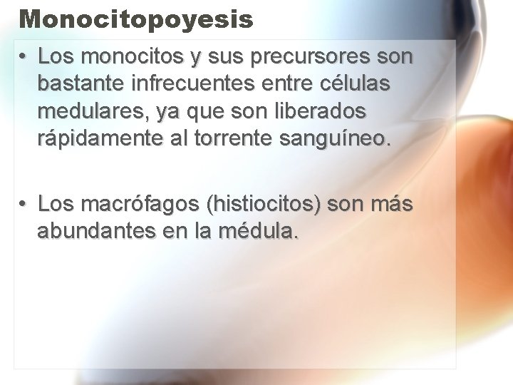 Monocitopoyesis • Los monocitos y sus precursores son bastante infrecuentes entre células medulares, ya Monocitopoyesis • Los monocitos y sus precursores son bastante infrecuentes entre células medulares, ya