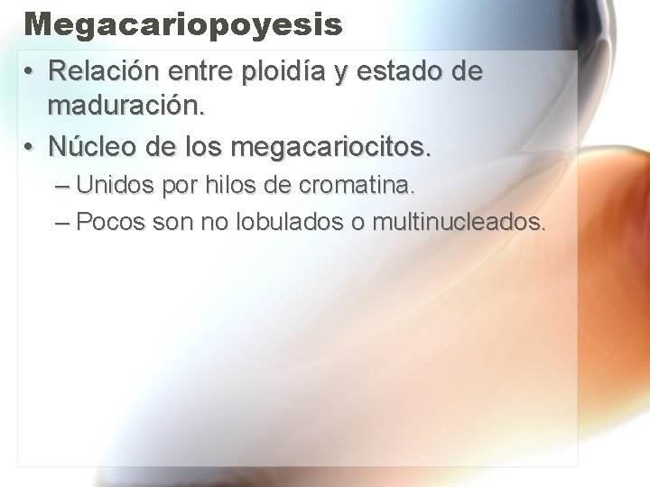 Megacariopoyesis • Relación entre ploidía y estado de maduración. • Núcleo de los megacariocitos. Megacariopoyesis • Relación entre ploidía y estado de maduración. • Núcleo de los megacariocitos.