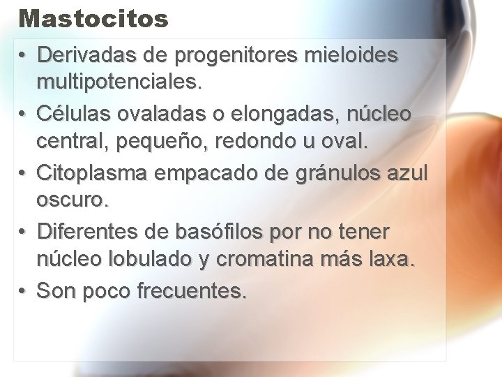 Mastocitos • Derivadas de progenitores mieloides multipotenciales. • Células ovaladas o elongadas, núcleo central, Mastocitos • Derivadas de progenitores mieloides multipotenciales. • Células ovaladas o elongadas, núcleo central,