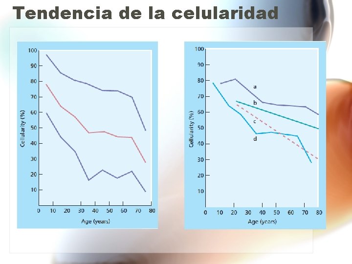 Tendencia de la celularidad Tendencia de la celularidad
