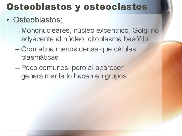 Osteoblastos y osteoclastos • Osteoblastos: – Mononucleares, núcleo excéntrico, Golgi no adyacente al núcleo, Osteoblastos y osteoclastos • Osteoblastos: – Mononucleares, núcleo excéntrico, Golgi no adyacente al núcleo,