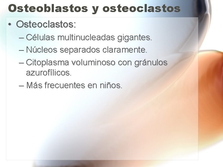 Osteoblastos y osteoclastos • Osteoclastos: – Células multinucleadas gigantes. – Núcleos separados claramente. – Osteoblastos y osteoclastos • Osteoclastos: – Células multinucleadas gigantes. – Núcleos separados claramente. –