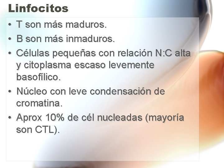 Linfocitos • • • T son más maduros. B son más inmaduros. Células pequeñas Linfocitos • • • T son más maduros. B son más inmaduros. Células pequeñas