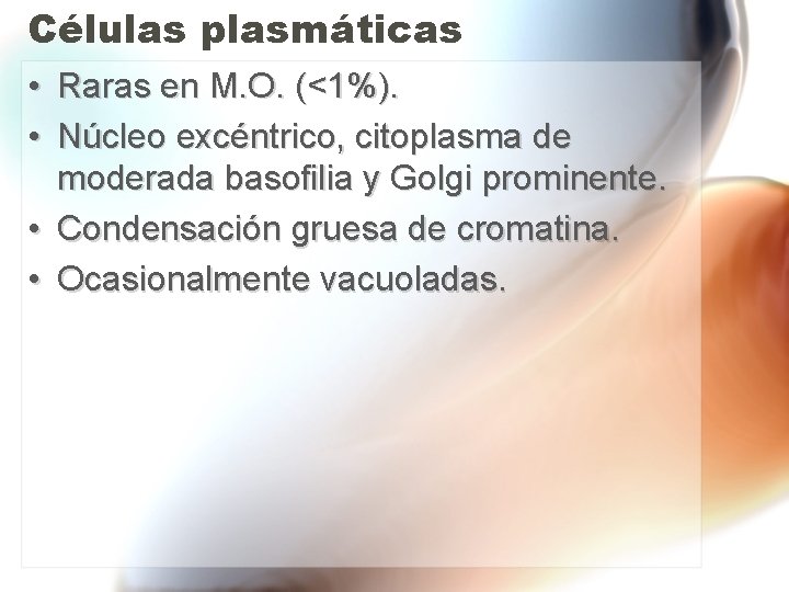 Células plasmáticas • Raras en M. O. (<1%). • Núcleo excéntrico, citoplasma de moderada Células plasmáticas • Raras en M. O. (<1%). • Núcleo excéntrico, citoplasma de moderada