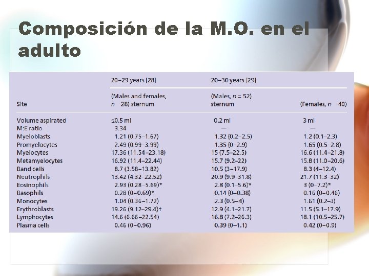 Composición de la M. O. en el adulto Composición de la M. O. en el adulto