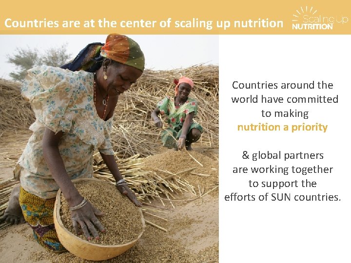 Countries are at the center of scaling up nutrition Countries around the world have