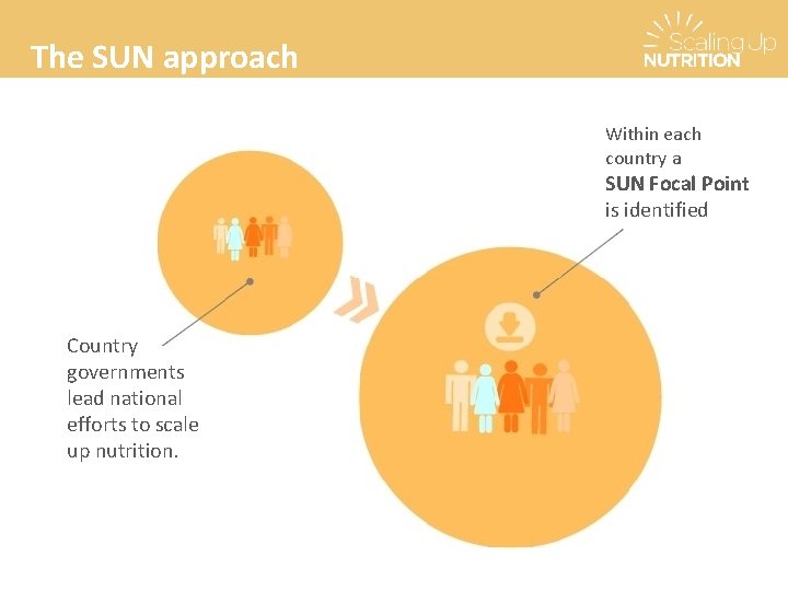 The SUN approach Within each country a SUN Focal Point is identified Country governments