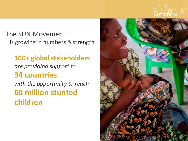 The SUN Movement is growing in numbers & strength 100+ global stakeholders are providing