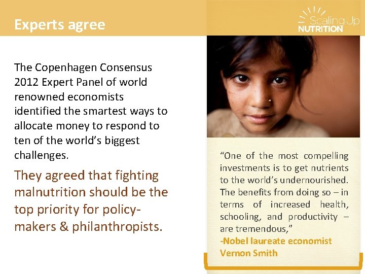 Experts agree The Copenhagen Consensus 2012 Expert Panel of world renowned economists identified the