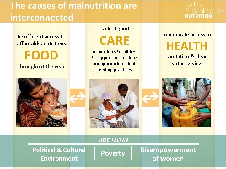 The causes of malnutrition are interconnected Lack of good Insufficient access to affordable, nutritious