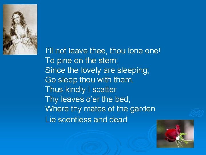  I’ll not leave thee, thou lone one! To pine on the stem; Since