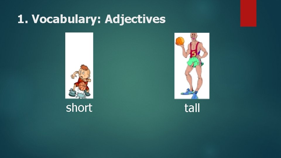 1. Vocabulary: Adjectives short tall 
