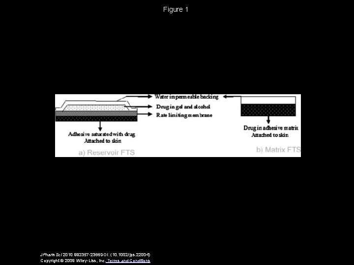 Figure 1 JPharm. Sci 2010 992357 -2366 DOI: (10. 1002/jps. 22004) Copyright © 2009