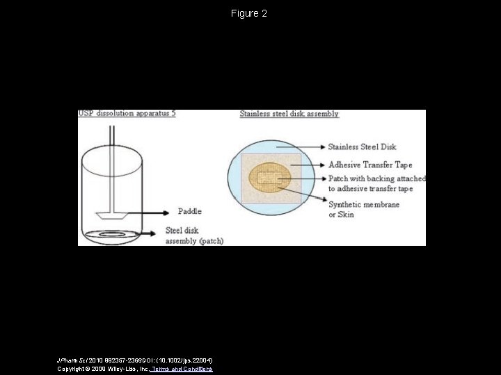 Figure 2 JPharm. Sci 2010 992357 -2366 DOI: (10. 1002/jps. 22004) Copyright © 2009