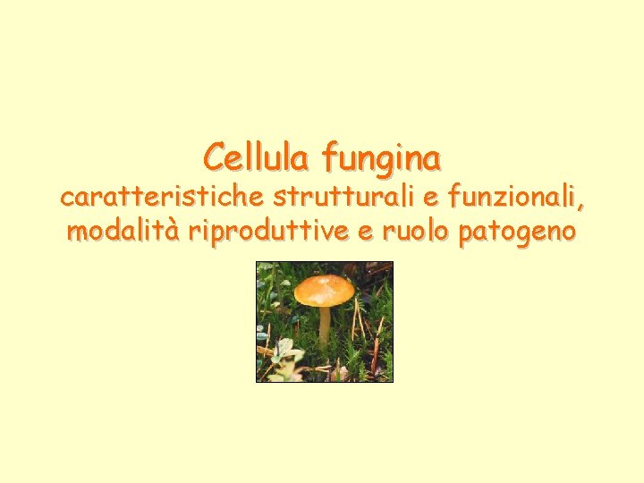 Cellula fungina caratteristiche strutturali e funzionali, modalità riproduttive e ruolo patogeno 