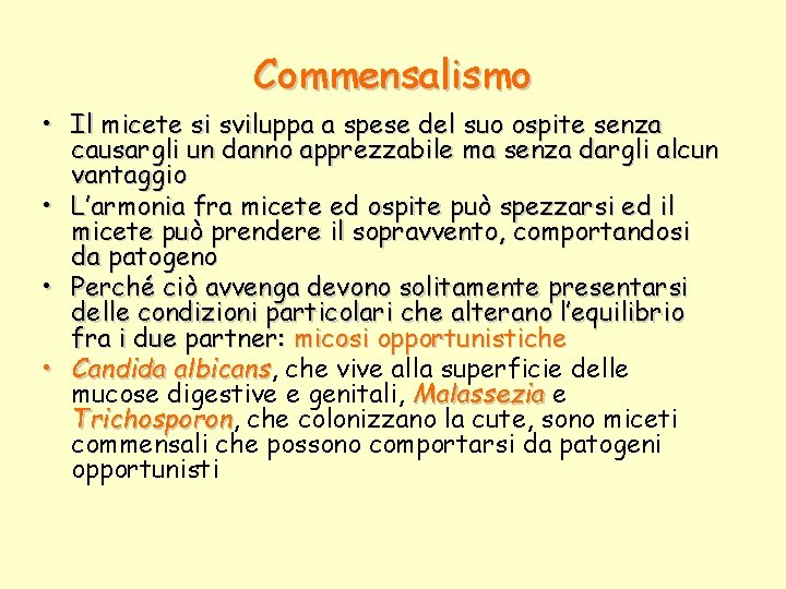 Commensalismo • Il micete si sviluppa a spese del suo ospite senza causargli un