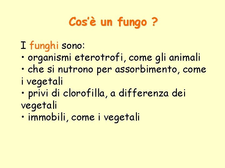 Cos’è un fungo ? I funghi sono: • organismi eterotrofi, come gli animali •