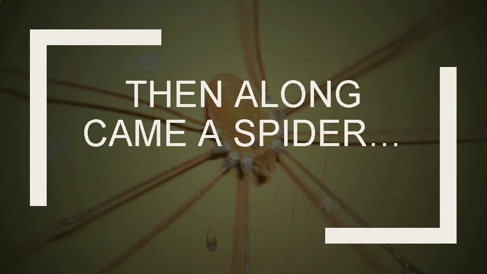 THEN ALONG CAME A SPIDER… 