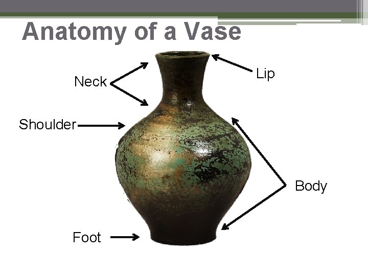 Anatomy of a Vase Neck Lip Shoulder Body Foot Anatomy of a Vase Neck Lip Shoulder Body Foot