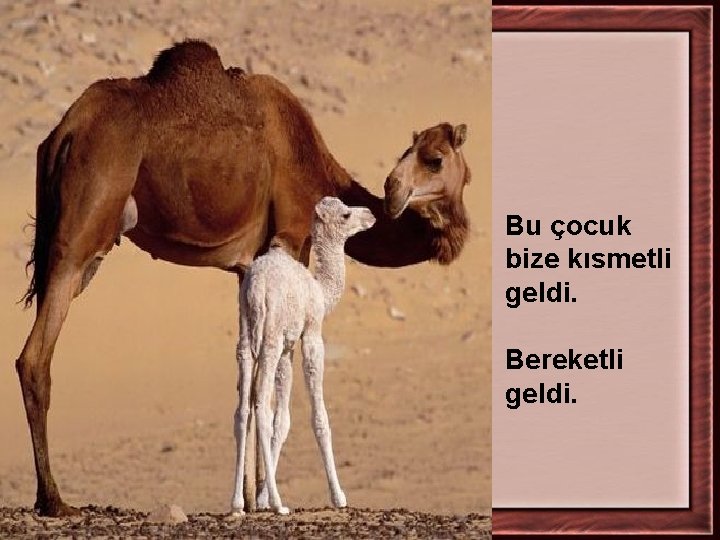 Bu çocuk bize kısmetli geldi. Bereketli geldi. 