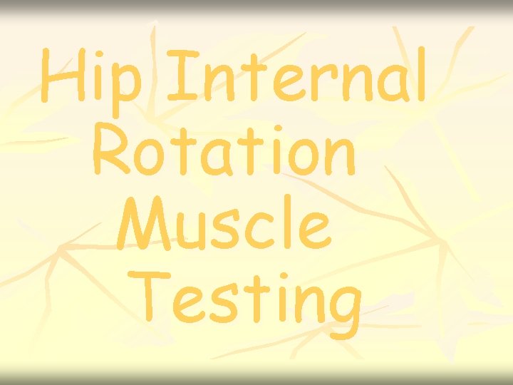 Hip Internal Rotation Muscle Testing 