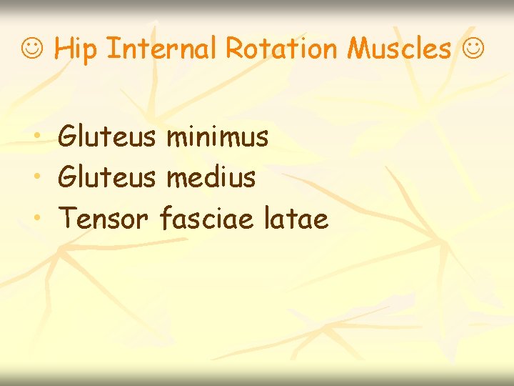  Hip Internal Rotation Muscles • • • Gluteus minimus Gluteus medius Tensor fasciae