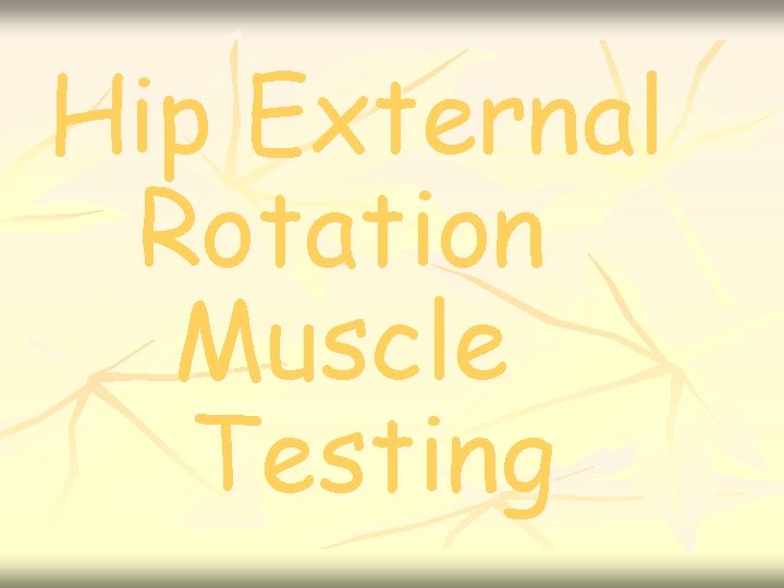 Hip External Rotation Muscle Testing 