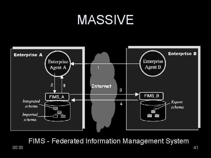 MASSIVE FIMS - Federated Information Management System 00: 33 41 