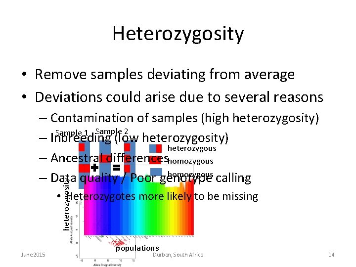 Heterozygosity • Remove samples deviating from average • Deviations could arise due to several Heterozygosity • Remove samples deviating from average • Deviations could arise due to several