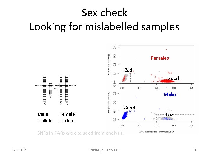 Sex check Looking for mislabelled samples Females Bad Good Males Good Male 1 allele Sex check Looking for mislabelled samples Females Bad Good Males Good Male 1 allele