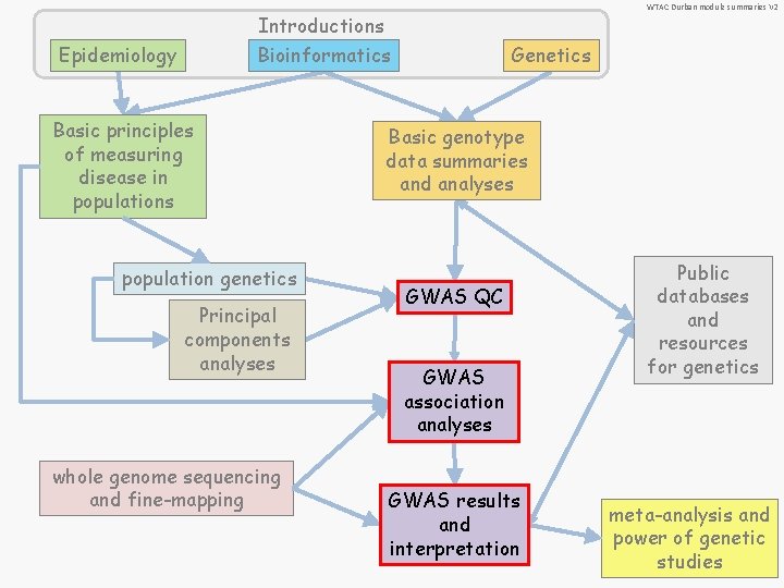 WTAC Durban module summaries V 2 Introductions Epidemiology Bioinformatics Basic principles of measuring disease WTAC Durban module summaries V 2 Introductions Epidemiology Bioinformatics Basic principles of measuring disease