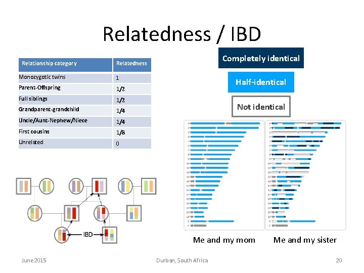 Relatedness / IBD Relationship category Completely identical Relatedness Monozygotic twins 1 Parent-Offspring 1/2 Full Relatedness / IBD Relationship category Completely identical Relatedness Monozygotic twins 1 Parent-Offspring 1/2 Full