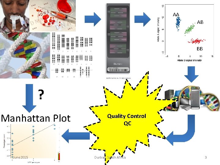 AA AB BB ? Manhattan Plot GWAS June 2015 Quality Control QC Durban, South AA AB BB ? Manhattan Plot GWAS June 2015 Quality Control QC Durban, South