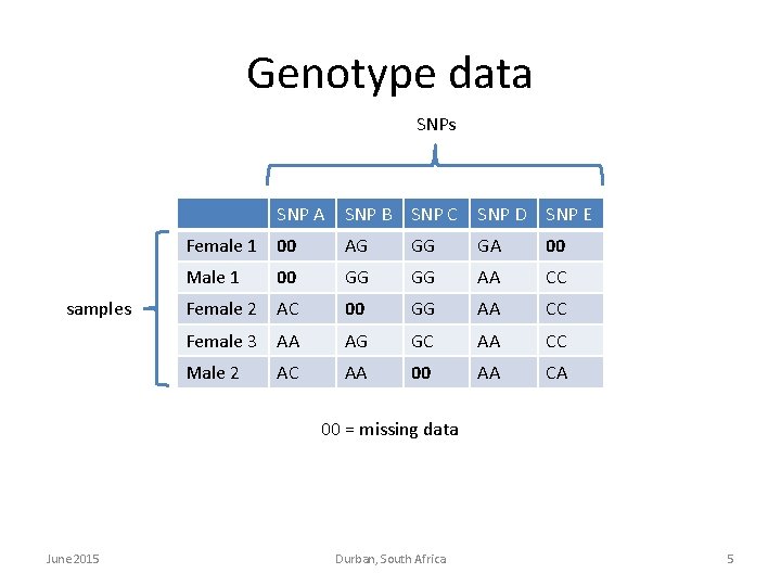 Genotype data SNPs samples SNP A SNP B SNP C SNP D SNP E Genotype data SNPs samples SNP A SNP B SNP C SNP D SNP E