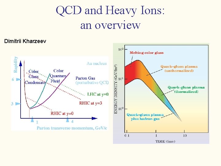 QCD and Heavy Ions: an overview Dimitrii Kharzeev 