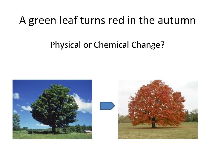 A green leaf turns red in the autumn Physical or Chemical Change? 