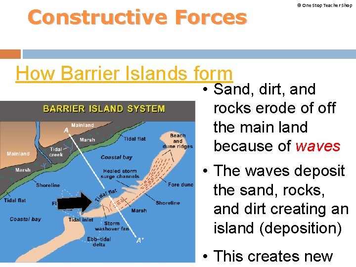 Constructive Forces © One Stop Teacher Shop How Barrier Islands form • Sand, dirt,