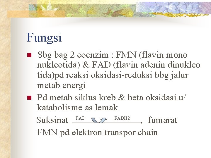 Fungsi n n Sbg bag 2 coenzim : FMN (flavin mono nukleotida) & FAD