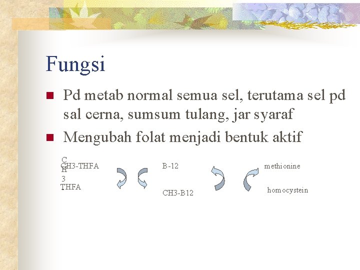 Fungsi n n Pd metab normal semua sel, terutama sel pd sal cerna, sumsum