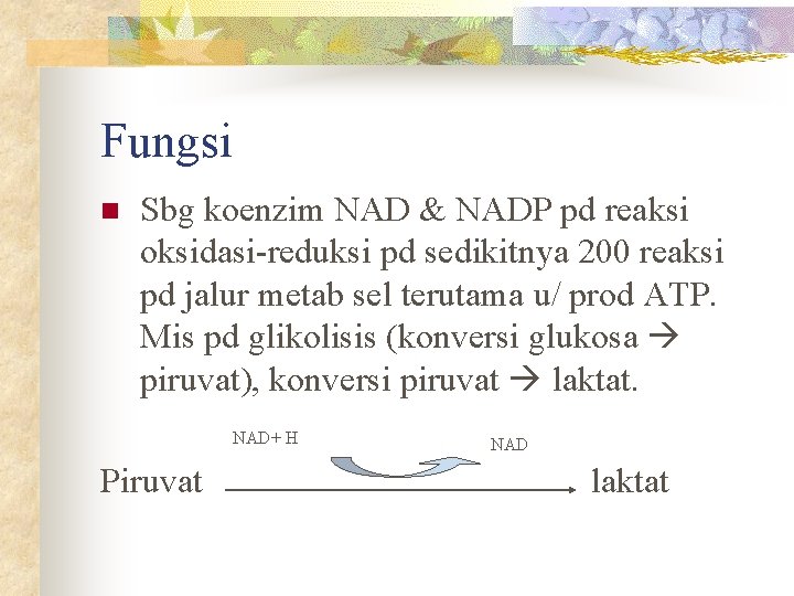 Fungsi n Sbg koenzim NAD & NADP pd reaksi oksidasi-reduksi pd sedikitnya 200 reaksi