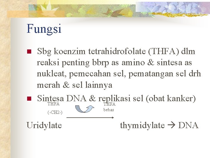 Fungsi n n Sbg koenzim tetrahidrofolate (THFA) dlm reaksi penting bbrp as amino &