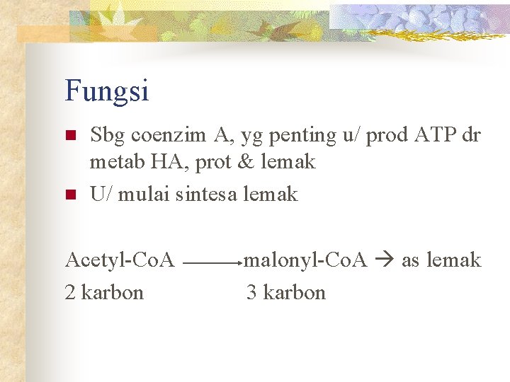 Fungsi n n Sbg coenzim A, yg penting u/ prod ATP dr metab HA,