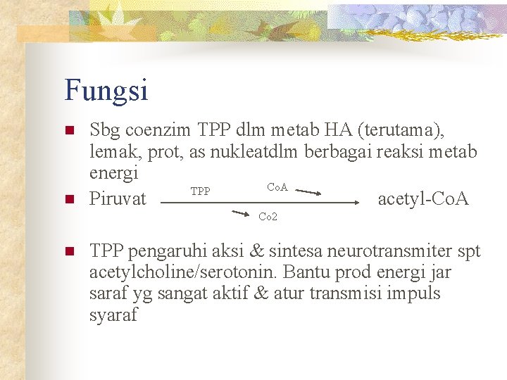 Fungsi n n Sbg coenzim TPP dlm metab HA (terutama), lemak, prot, as nukleatdlm